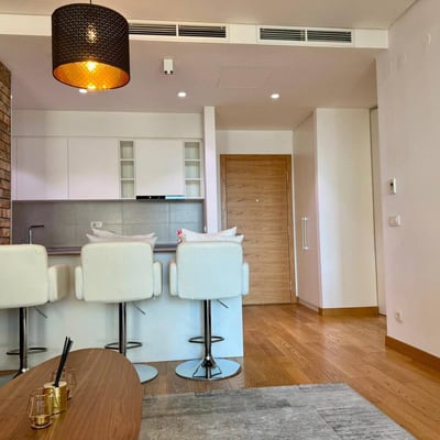 Alquiler de un espacioso apartamento de 2 habitaciones, 60 m², BW Residences, Belgrado, Serbia